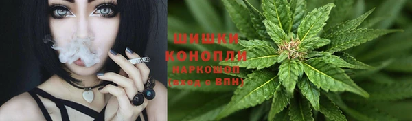 шишки Бугульма