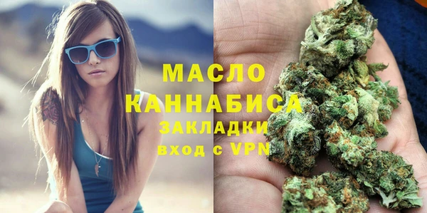 крисы Бронницы