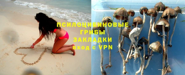 крисы Бронницы
