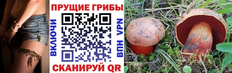 кракен ТОР  Гуково  Галлюциногенные грибы мицелий 